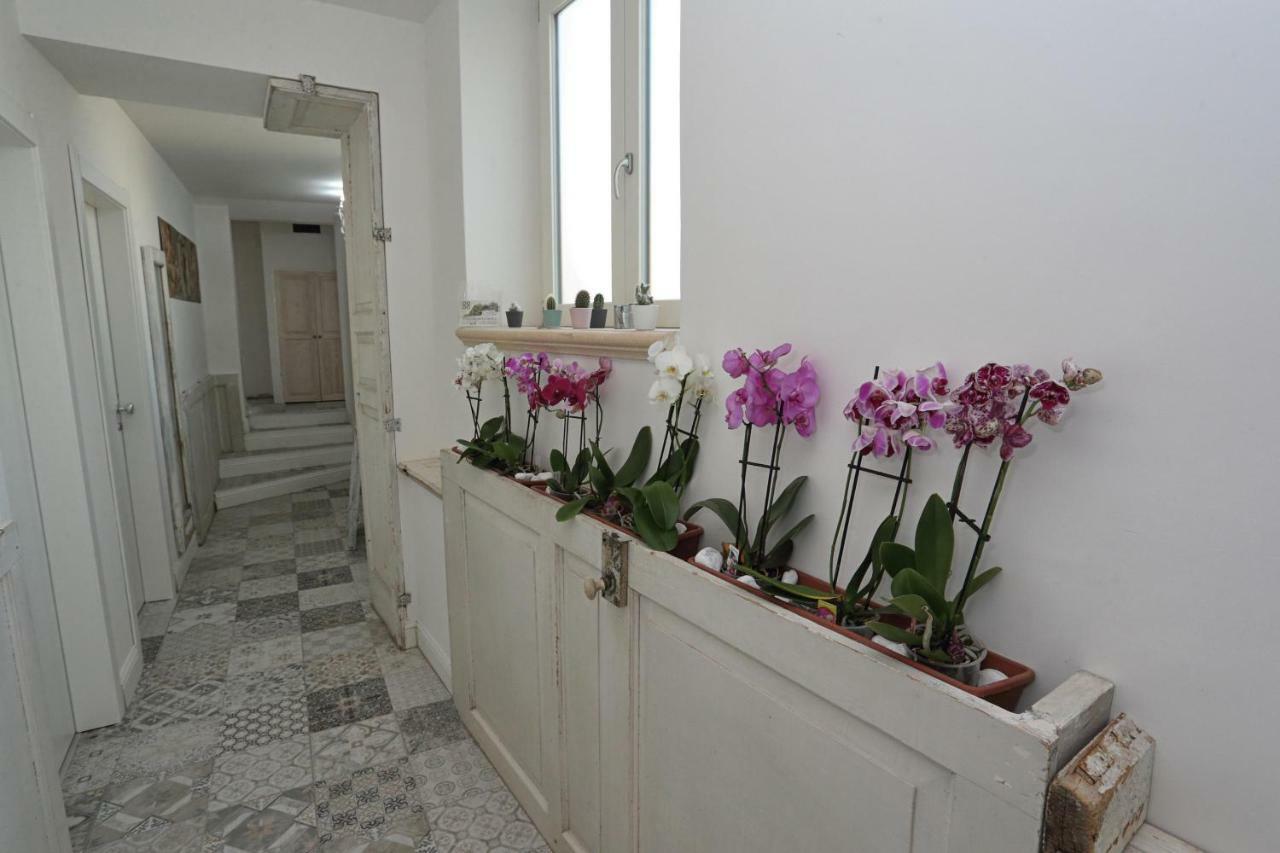 Angels'Home Пицо Екстериор снимка